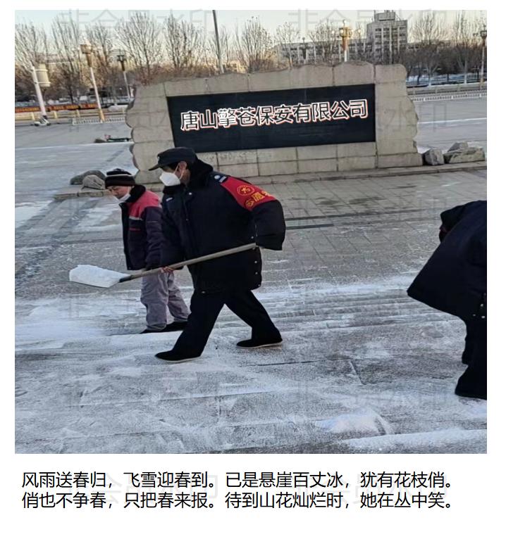 助力公园清理冬雪