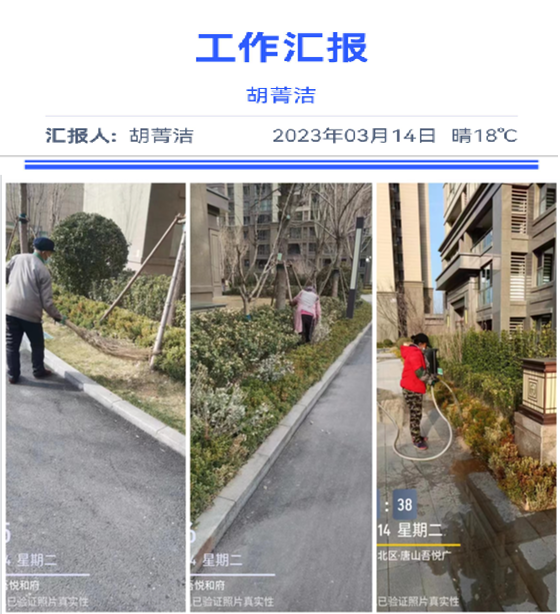 市区项目3月工作日报