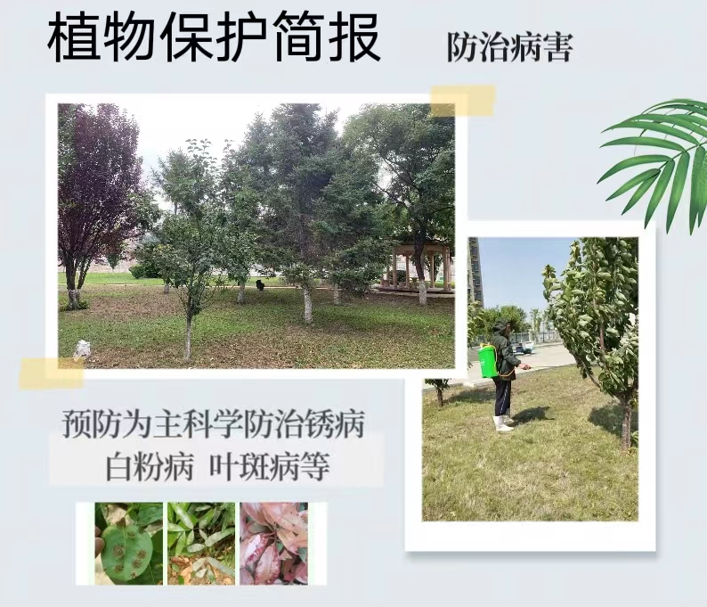 园林绿化植物保护简报